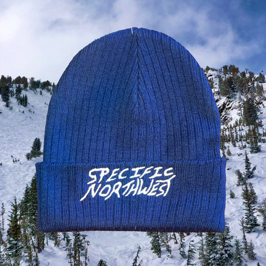 Specific Northwest Blue Winter Hat